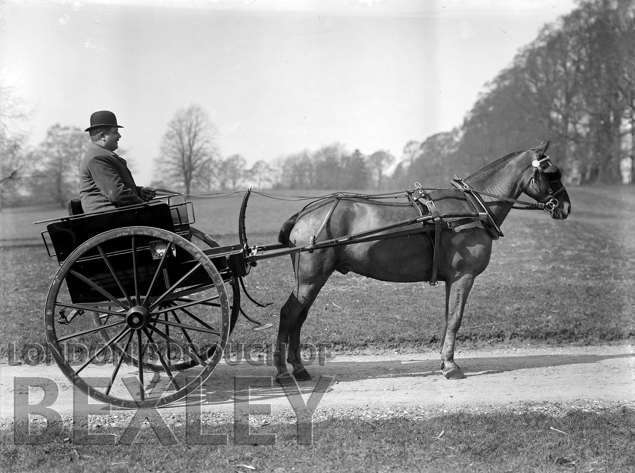 DEW143 Gentleman with Horse & Carriage c.1900 | Bexley Borough ...