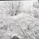 Dagenham Sewage Works Reconstruction IV, showing crumbling grid,1965