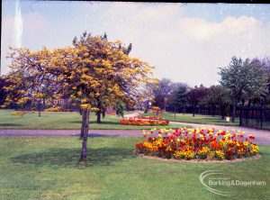 Old Dagenham Park, showing half of a circular flowerbed, 1965