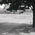 Pondfield Park, Reede Ro...