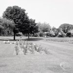 Pondfield Park, Reede Road, Dagenham after rose planting, showing rose beds in open sunshine, 1965