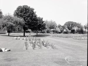 Pondfield Park, Reede Road, Dagenham after rose planting, showing rose beds in open sunshine, 1965