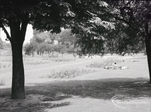 Pondfield Park, Reede Road, Dagenham after rose planting, showing rose beds seen through dark shadow of trees, 1965