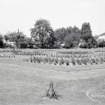 Pondfield Park, Reede Ro...