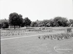 Pondfield Park, Reede Road, Dagenham after rose planting, showing distant view of planted area, 1965