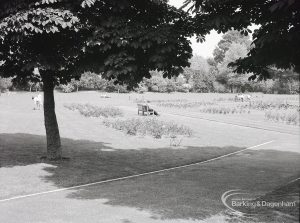 Pondfield Park, Reede Road, Dagenham after rose planting, showing distant view of rose beds beyond trees, 1965