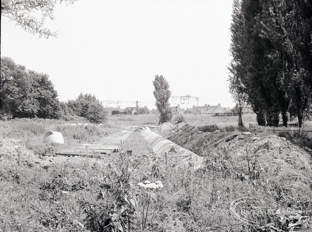 Pondfield Park, Reede Road, Dagenham after rose planting, 1965