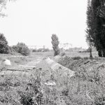 Pondfield Park, Reede Ro...