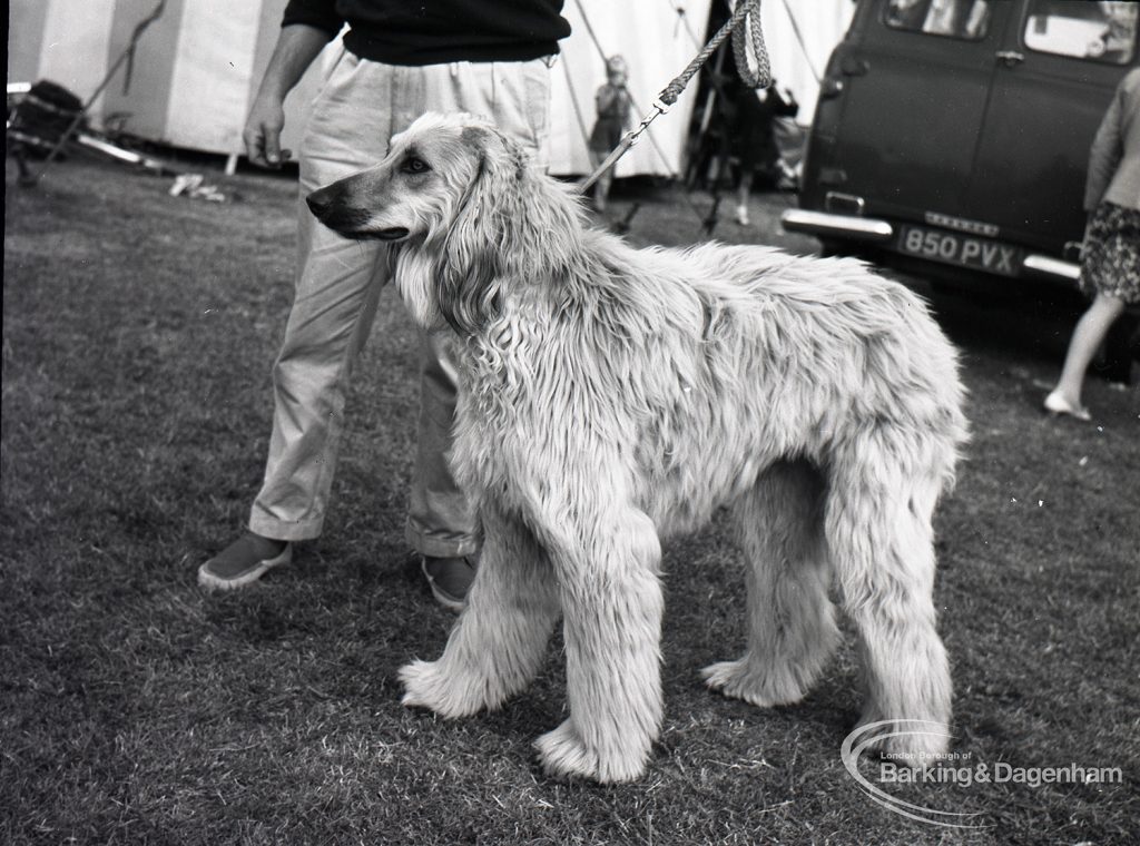 Dagenham Town Show 1965, showing boys watching chemical display, 1965