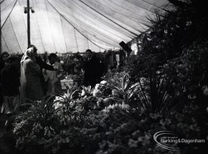 Dagenham Town Show 1965, showing official Horticultural gardens by local authorities, 1965