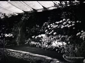 Dagenham Town Show 1965, showing official Horticultural gardens by local authorities, 1965