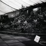 Dagenham Town Show 1965,...