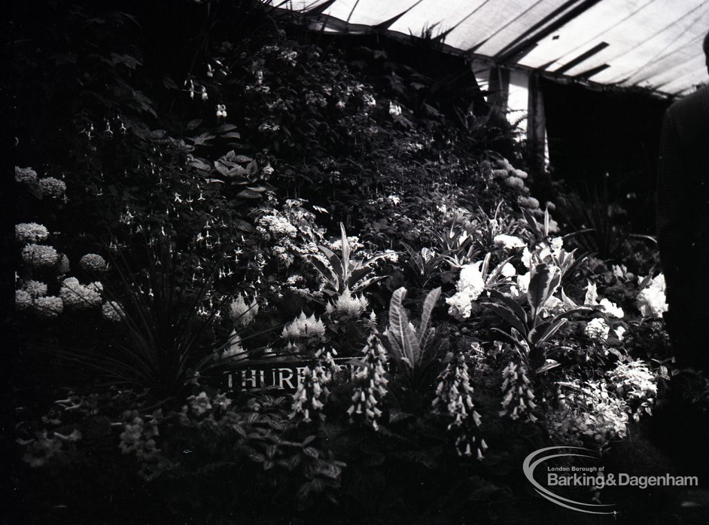 Dagenham Town Show 1965, showing official Horticultural gardens by local authorities, 1965