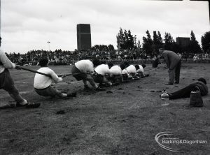 Dagenham Town Show 1965, showing tug-o’-war, with rear view of team, 1965