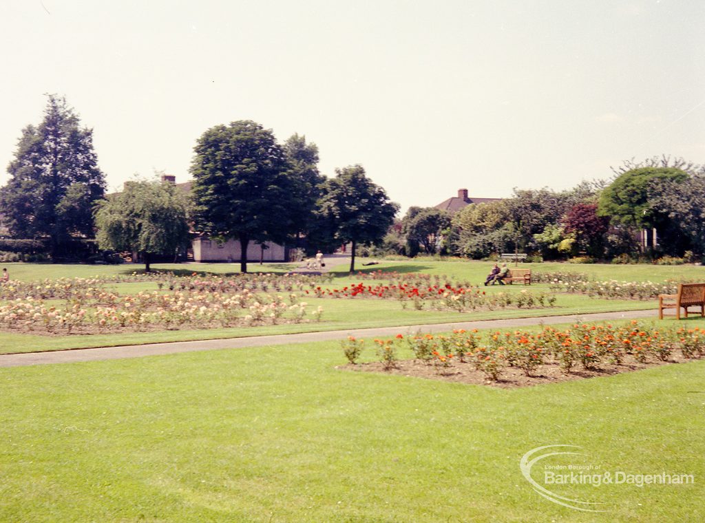 Pondfield Park, Reede Road, Dagenham showing open view, with flowerbeds bisected by path, 1965