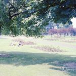 Pondfield Park, Reede Ro...