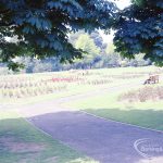 Pondfield Park, Reede Road, Dagenham, 1965