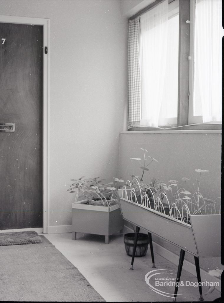 Architects Department interior of Gascoigne flats, Barking, showing landing with plants between flats, 1965