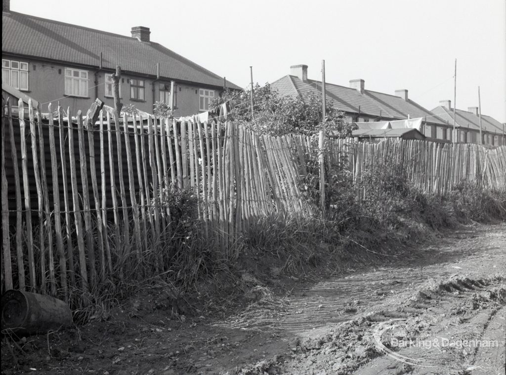 Housing Development on Temple Avenue showing chestnut paling with west edge backing onto Temple Avenue, 1965