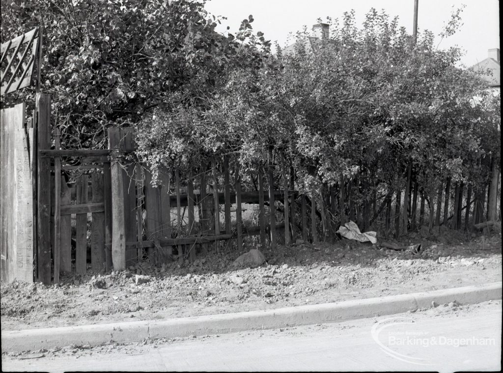 Housing Development on Temple Avenue showing chestnut paling with west edge backing onto Temple Avenue, 1965