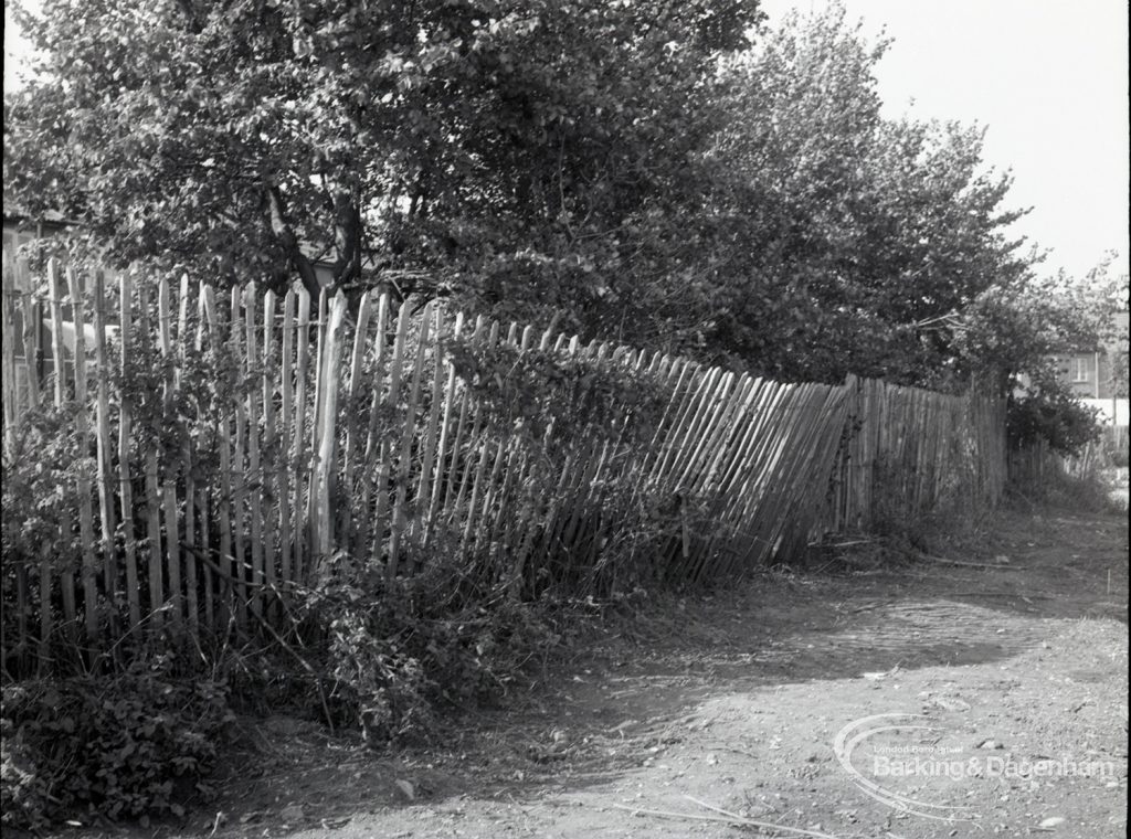 Housing Development on Temple Avenue showing chestnut paling with west edge backing onto Temple Avenue, 1965