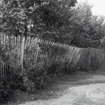 Housing Development on T...