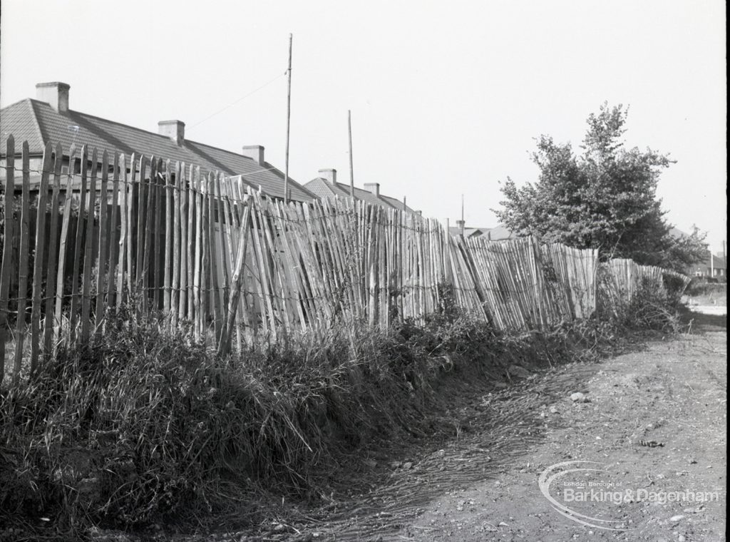 Housing Development on Temple Avenue showing chestnut paling with west edge backing onto Temple Avenue, 1965