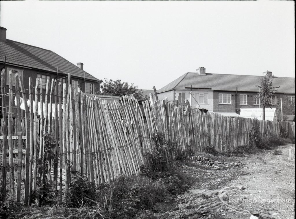 Housing Development on Temple Avenue showing chestnut paling with west edge backing onto Temple Avenue, 1965