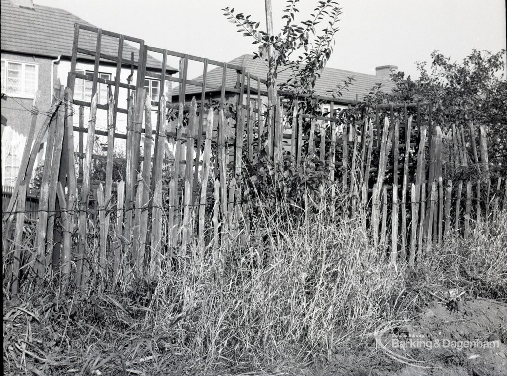 Housing Development on Temple Avenue showing chestnut paling with west edge backing onto Temple Avenue, 1965