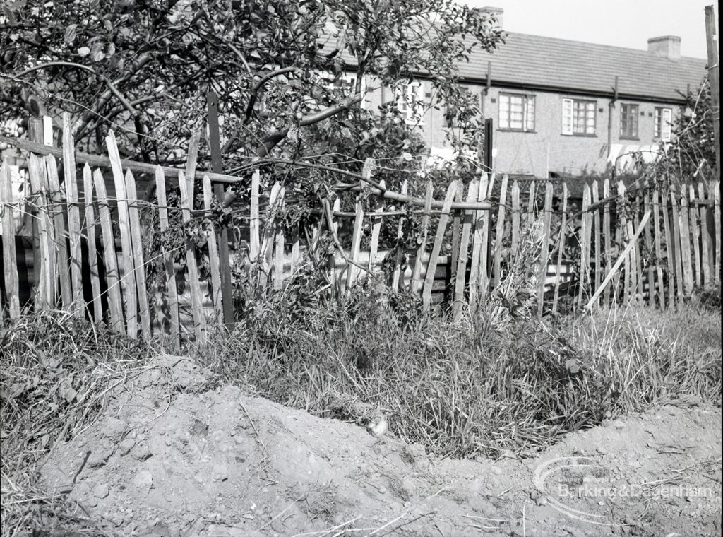 Housing Development on Temple Avenue showing chestnut paling with west edge backing onto Temple Avenue, 1965