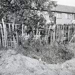 Housing Development on Temple Avenue showing chestnut paling with west edge backing onto Temple Avenue, 1965