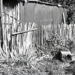 Housing Development on T...