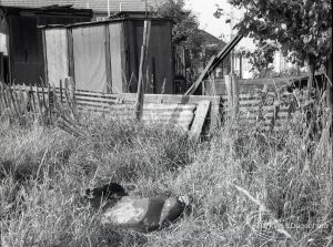 Housing Development on Temple Avenue showing fences and overgrown weeds with the north side backing onto Stanley Avenue, 1965