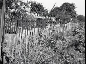 Housing Development on Temple Avenue showing chestnut fencing against allotments on the east side, 1965