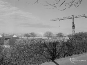 Church Elm Lane Housing development showing the principal crane from a distance, 1965
