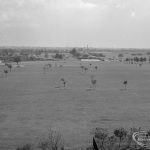 Central Park showing the...