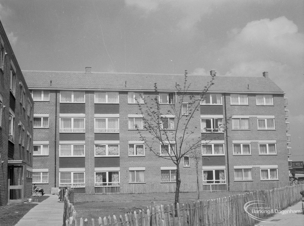 Housing in John Burns Drive, off Ripple Road, Barking, showing completed flats and tree, 1966