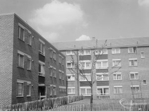 Housing in John Burns Drive, off Ripple Road, Barking, showing completed flats and tree, 1966