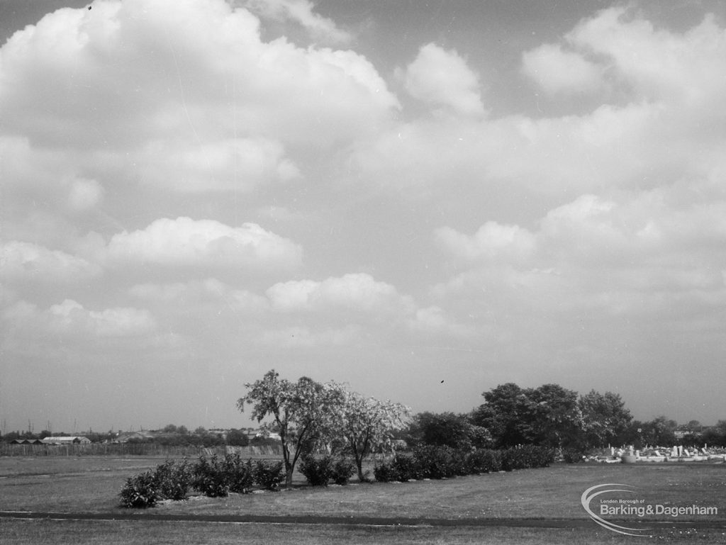 Extension at Eastbrookend Cemetery, Dagenham showing the woods, and with gravestones at right, 1966