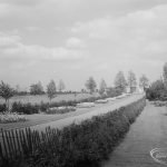 Central Park, Dagenham, showing the approach from Rainham Road North, 1966
