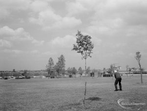 St Chad’s Park, Chadwell Heath, showing extension to golf course and a golf player, 1966
