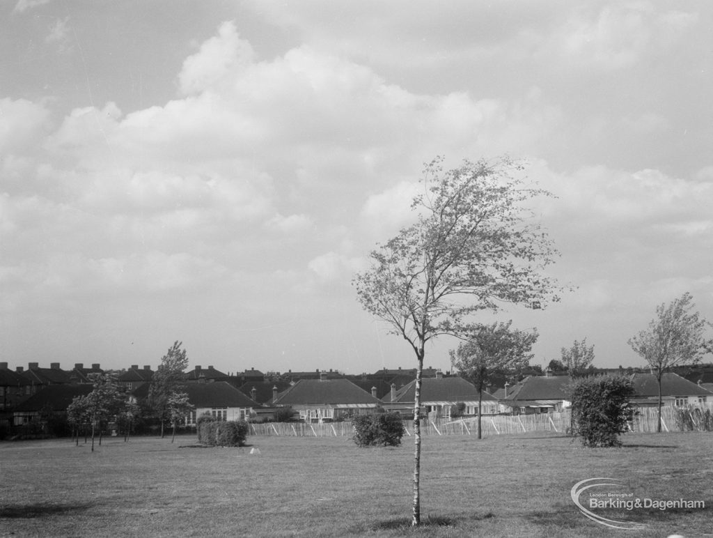 St Chad’s Park, Chadwell Heath, showing area nearer playground and silver birch tree, 1966