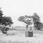 Evenlode Way, Dagenham a...