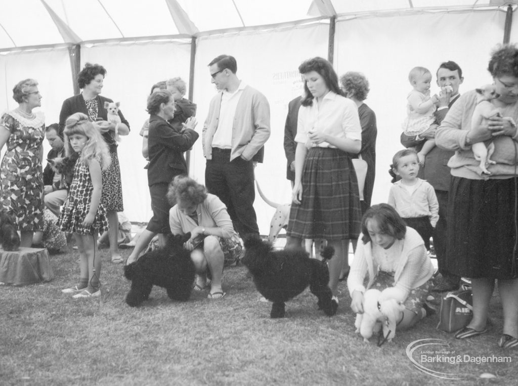 Dagenham Town Show 1966, showing Dog Show competitors crouching with dogs, 1966