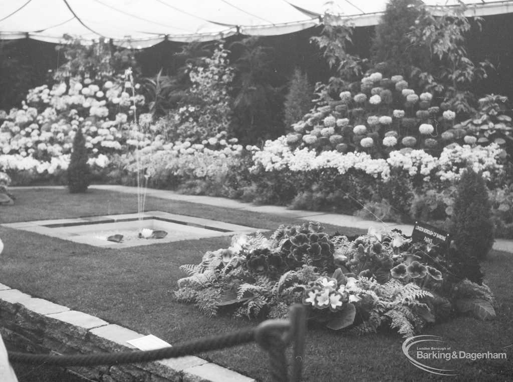 Dagenham Town Show 1966 at Central Park, showing the Barking Park horticulture display, 1966