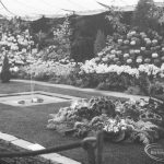 Dagenham Town Show 1966 at Central Park, showing the Barking Park horticulture display, 1966