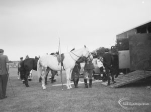 Dagenham Town Show 1966, showing horse grooming for a tent-pegging display, 1966