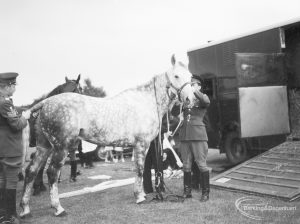 Dagenham Town Show 1966, showing horses being ushered into a horse box after a tent-pegging display, 1966