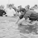 Dagenham Town Show 1966,...