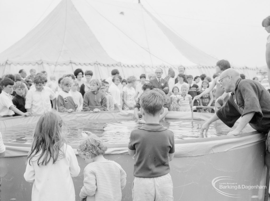 Dagenham Town Show 1966, showing a child floating unaided in the Dagenham Swimming Club pool, 1966